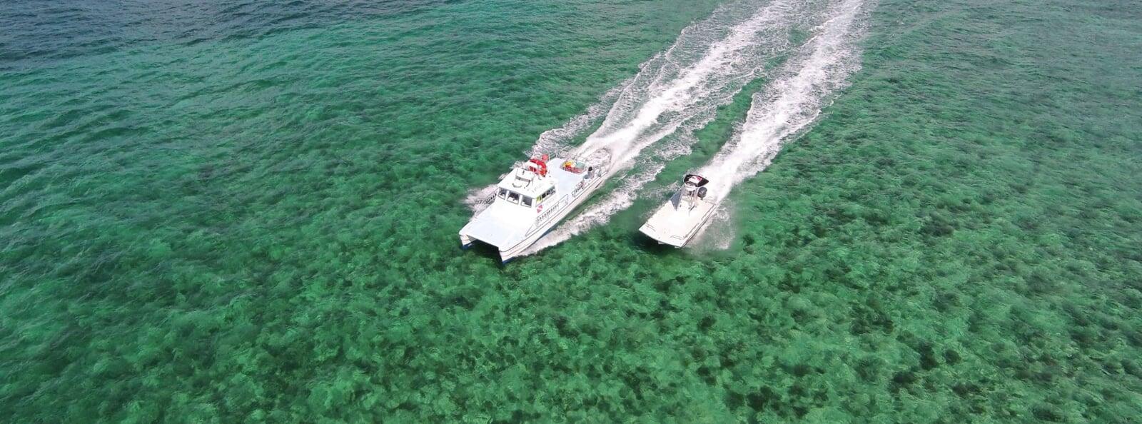 Introducing FloridaReefFish:  A New Chapter for Florida's Marine Life Fishery